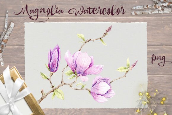 Download Delicate Magnolia Print Png - Png Collection