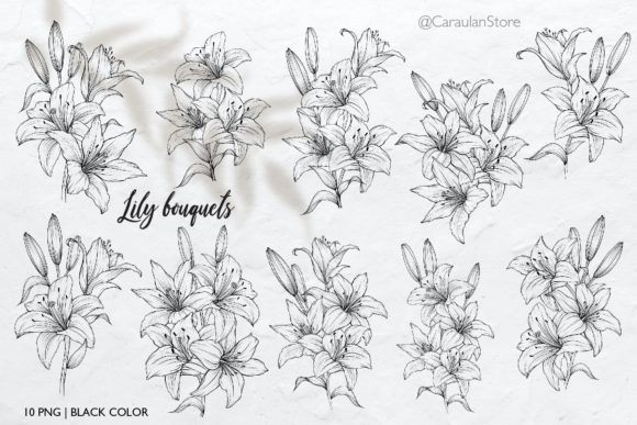 Download Lilies Line Art, Lily Bouquets PNG - Png Collection