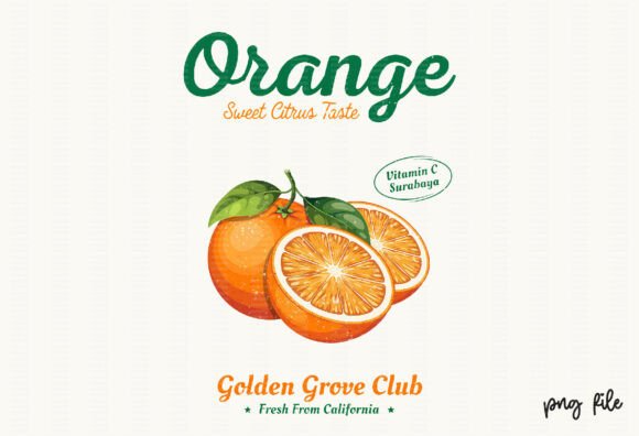 Download Vintage Summer Retro Orange Fruit PNG - Png Collection